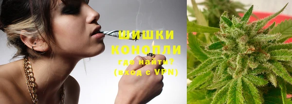 ПСИЛОЦИБИНОВЫЕ ГРИБЫ Арсеньев