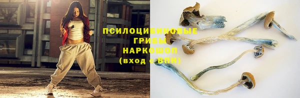 spice Армянск