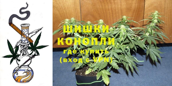 молекула духа Аркадак