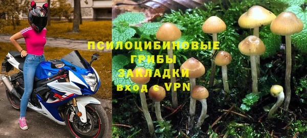 молекула духа Аркадак