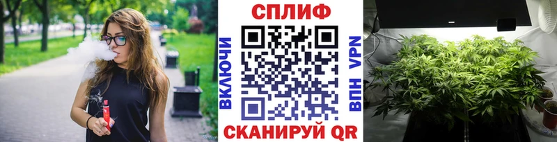 купить   Дегтярск  Марихуана конопля 